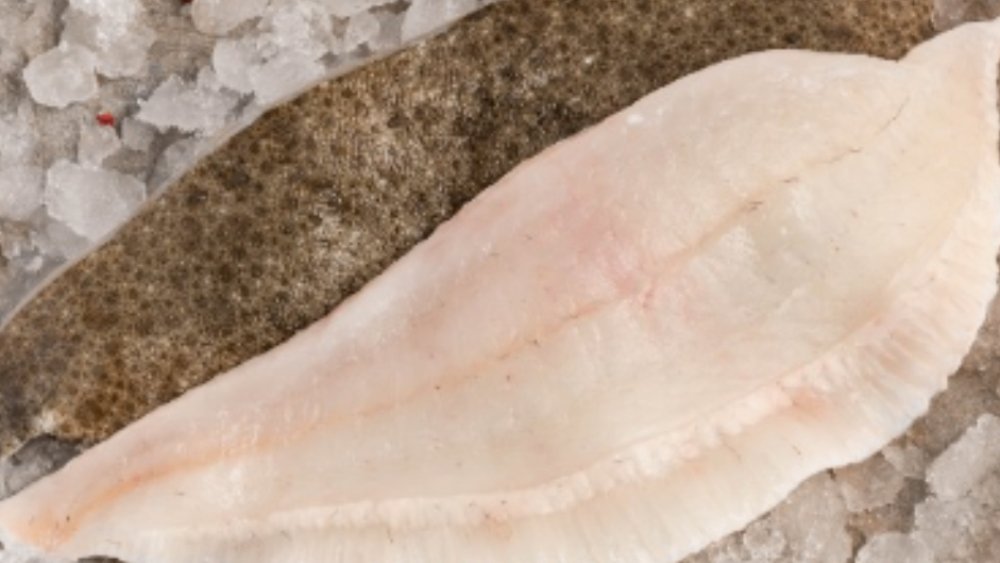 Turbot filet 250g