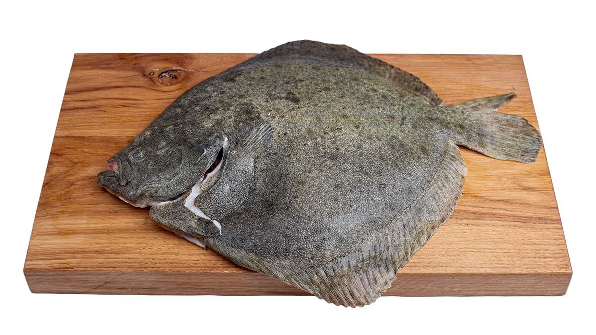 Turbot patroszony ok 2kg